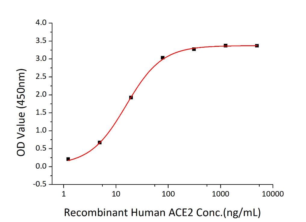 Coronavirus SARS-CoV-2 S1 Protein (Recombinant 6His-AVI, C-terminus)
