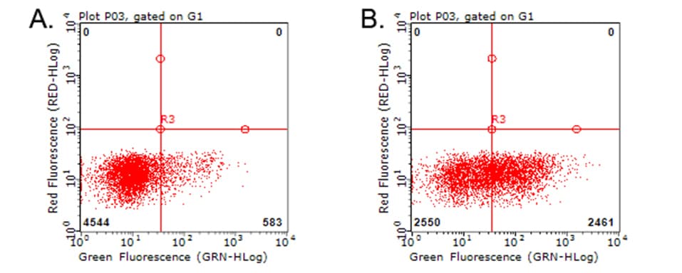 TNFRSF9 / 4-1BB / CD137 Antibody (clone OTI3B7)