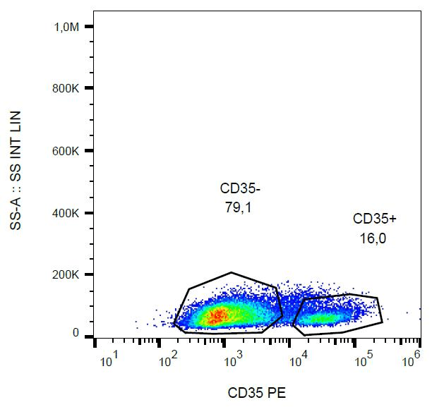 CR1 / CD35 Antibody (clone E11, PE)
