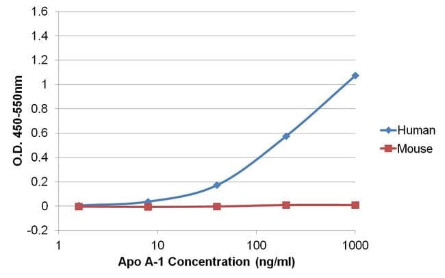 APOA1 / Apolipoprotein A 1 Antibody (clone 513)