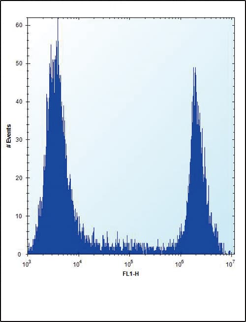 HPRT1 / HPRT Antibody (aa65-94)