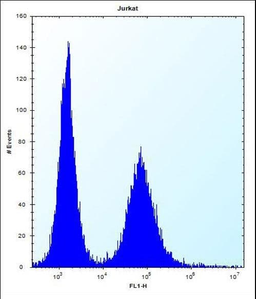 RPL11 / Ribosomal Protein L11 Antibody (aa1-30)