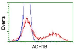ADH2 / ADH1B Antibody (clone OTI3C12, Carrier-free)