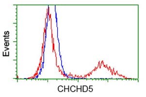 CHCHD5 Antibody (clone OTI6G8)