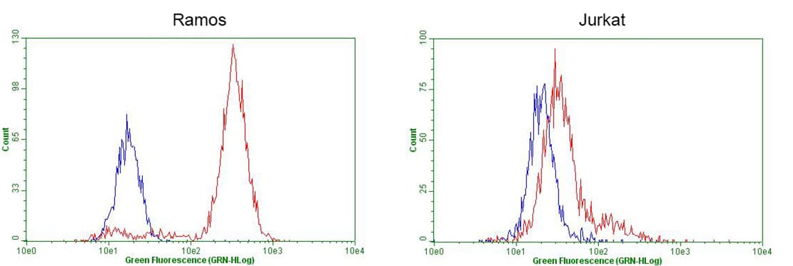POU2AF1 / BOB1 Antibody (clone OTI2D3, Carrier-free)