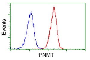 PNMT Antibody (clone OTI1F1, Carrier-free)