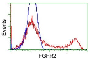 FGFR2 / FGF Receptor 2 Antibody (clone OTI4D6)