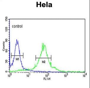 FKBP2 Antibody (aa11-41)