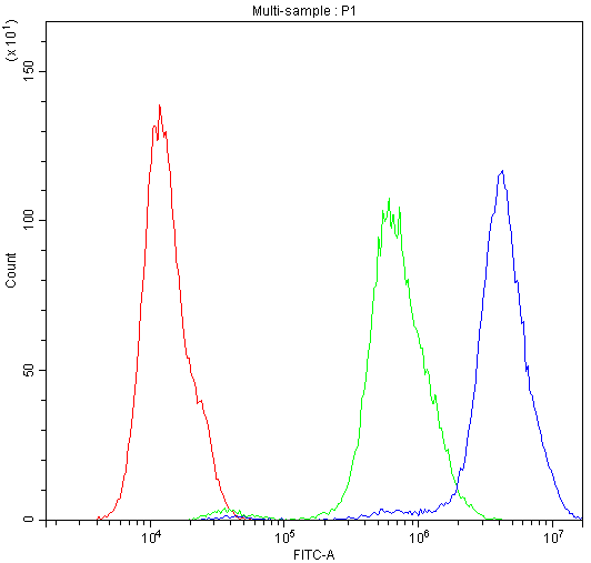 APOA1 / Apolipoprotein A 1 Antibody
