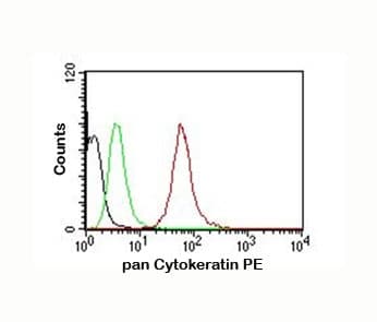 Cytokeratin AE1+AE3 Antibody (clone AE1+AE3)