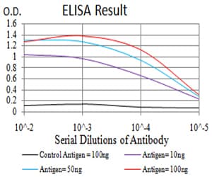 Monoclonal Mouse anti-Human HLA-B Antibody (clone 2G7B10, IHC, IF, WB)