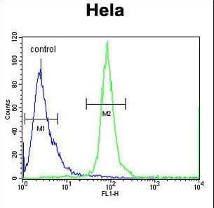 ESCO2 Antibody (aa132-161)