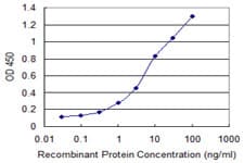 ANPEP / CD13 Antibody (clone 1G1)