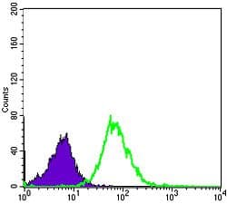 Monoclonal Mouse anti-Human MMP1 Antibody (clone 6A5, IHC, IF, WB)