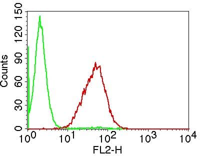 LGALS1 / Galectin 1 Antibody