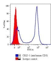 Monoclonal Mouse anti-Human CD5 Antibody (clone CRIS1, IHC, WB)