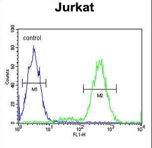 IMMP2L Antibody (aa81-109)