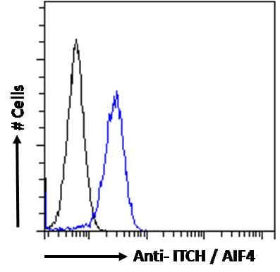 Polyclonal Goat anti-Human ITCH / AIP4 Antibody (aa714-726, IF, WB)