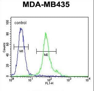 EMC3 Antibody (aa42-70)