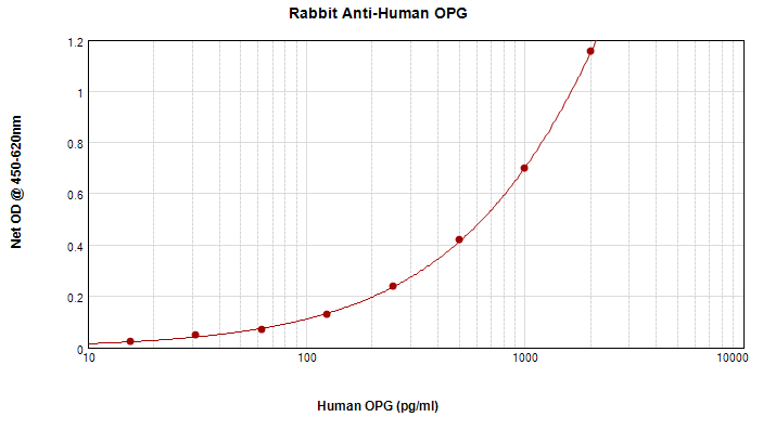 OPG / Osteoprotegerin Antibody
