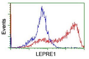 P3H1 / LEPRE1 Antibody (clone OTI1C4)