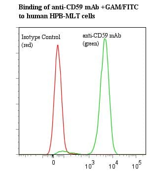 ST6GAL1 / CD75 Antibody (clone LN1, Azide-free)