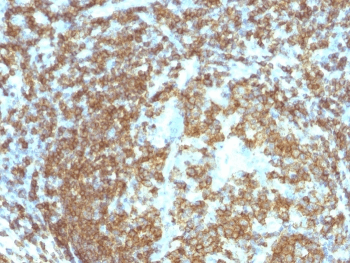 CD45RA Antibody (clone 158-4D3, Azide-free, BSA-free)