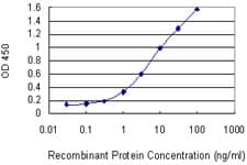 EGR2 Antibody (clone 1G5)