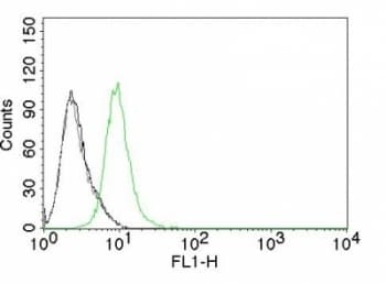 CDKN1B / p27 Kip1 Antibody (clone KIP1/769)