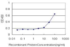 KPNA5 Antibody (clone 1D2)