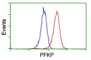 PFKP Antibody (clone OTI3G8, Carrier-free)