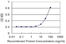 IHC-plus™ RBM8A / Y14 Antibody (clone 3E4)