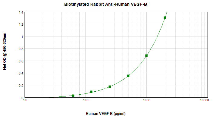 VEGFB Antibody (Biotin)