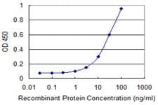 NIT1 Antibody (clone 1C3)