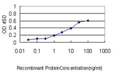 S1PR1 / EDG1 / S1P1 Antibody (clone 2E12)