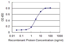 Monoclonal Mouse anti-Human SRGN / Serglycin Antibody (clone 1D8, WB)