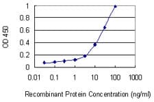Monoclonal Mouse anti-Human MST1 Antibody (clone 3B5)