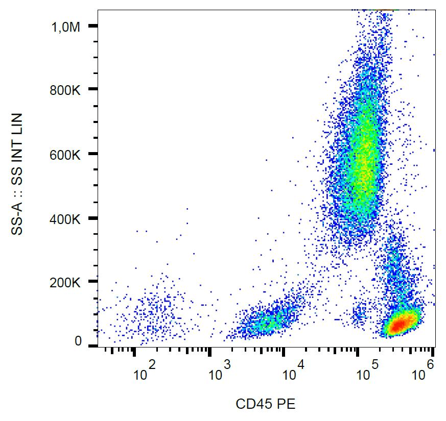 CD45 / LCA Antibody (clone 2D1, PE)