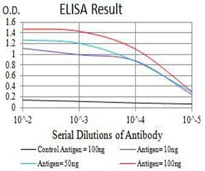 ATPIF1 / ATPI Antibody (clone 1F3B8)