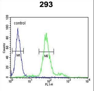 KLF16 Antibody (aa150-179)