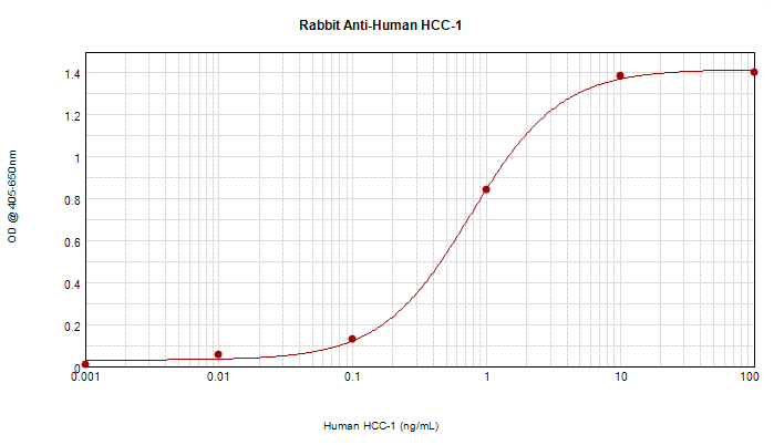 Polyclonal Rabbit anti-Human CCL14 Antibody (WB)