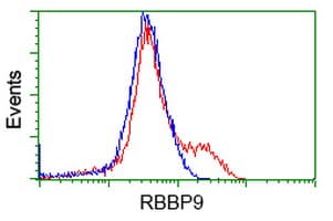 RBBP9 Antibody (clone OTI1C10)