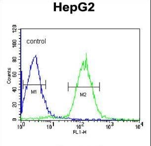 PLTP Antibody (aa451-479)