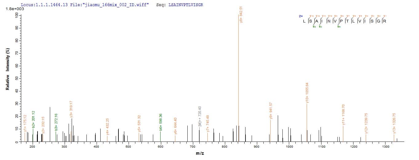 Pseudomonas azotoformans laaA Protein (Recombinant 10His-SUMO, N-terminus + Myc, C-terminus)