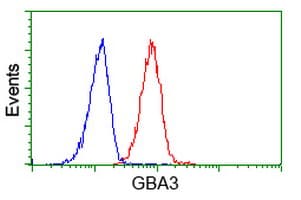 GBA3 / CBG Antibody (aa1-150, clone OTI1C7, Carrier-free)