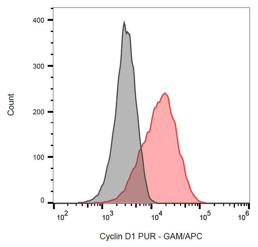 CCND1 / Cyclin D1 Antibody (clone DCS-6)