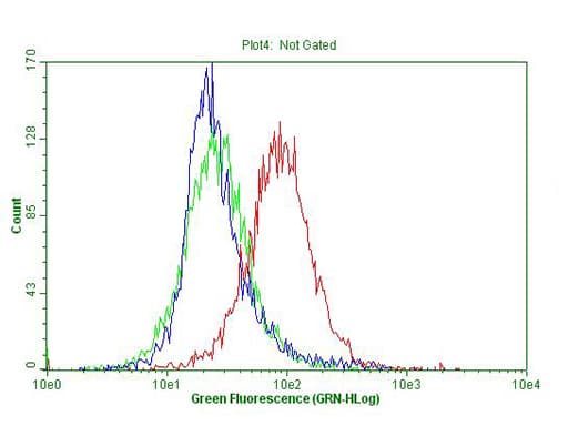p16INK4a / CDKN2A Antibody (clone OTI10F12)