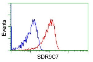 SDR9C7 Antibody (clone OTI11H10)