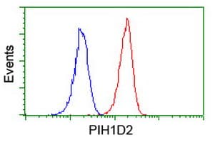 PIH1D2 Antibody (clone OTI4A10)