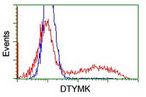 Thymidylate Kinase Antibody (clone OTI1G8)